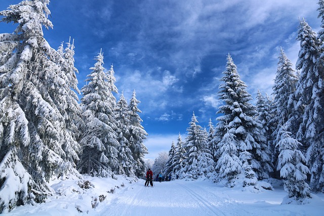 Las mejores estaciones de esquí para disfrutar de deportes de invierno y experiencias en la nieve